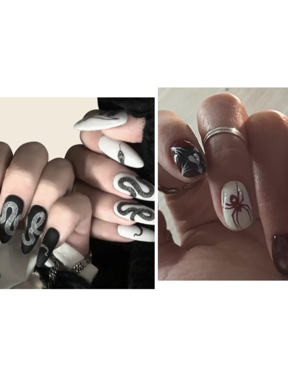 2 Pairs Gothic Spiders and Snake Press On Nails Medium Fake Nails